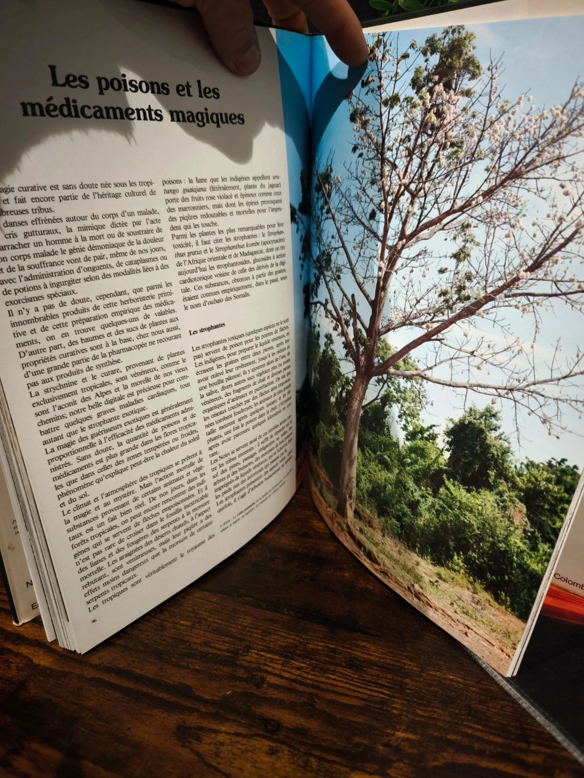 De exotische flora en zijn wonderen – photo 3
